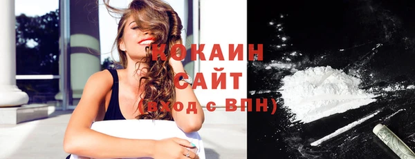 дурь Инсар