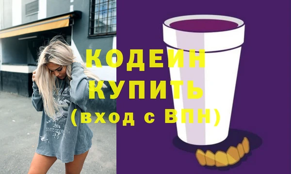 дурь Инсар