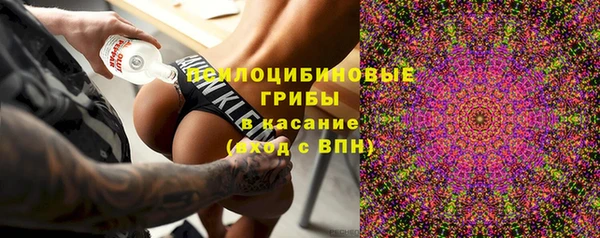 дурь Инсар