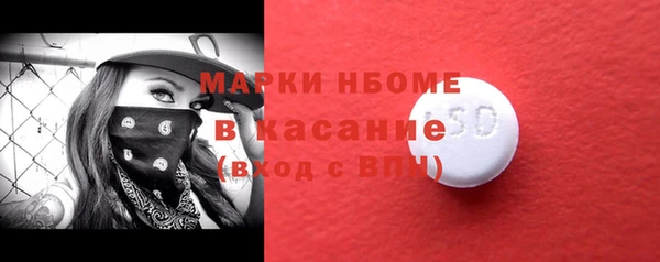дурь Инсар
