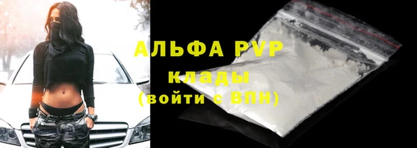 дурь Инсар