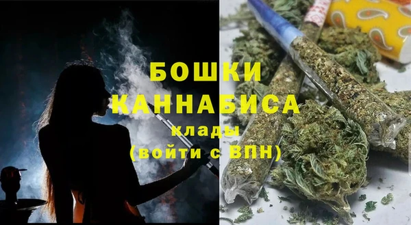 дурь Инсар