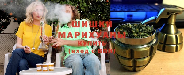 Альфа ПВП Инта