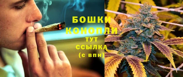 дурь Инсар