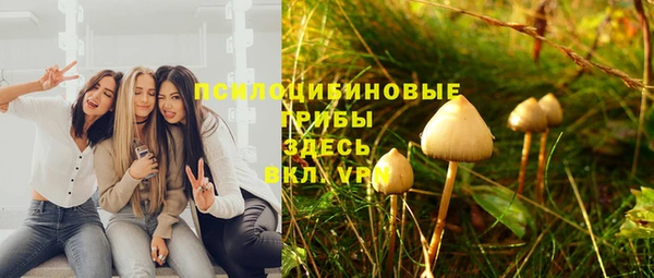 дурь Инсар