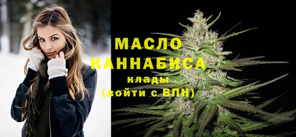 Альфа ПВП Инта