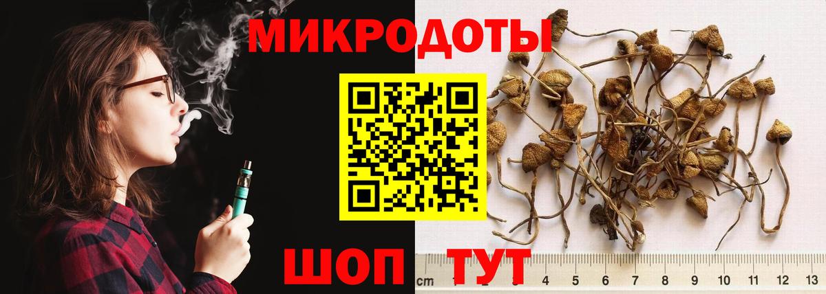 Ржев  Галлюциногенные грибы GOLDEN TEACHER  Псилоцибиновые грибы Psilocybine cubensis  Вход с VPN 